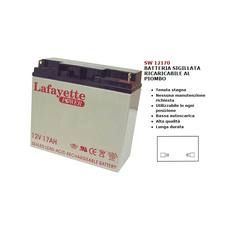 Batterie au plomb rechargeable professionnelle...