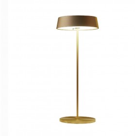 Portable rechargeable light with battery GOLD 2.2w 192lm 3000k IP54