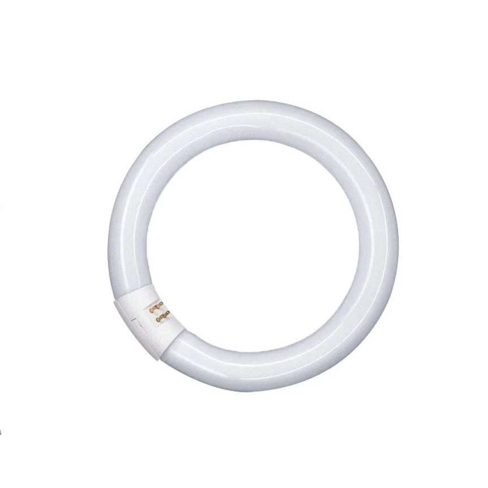 Lampada fluorescente circolare trifosforo 32w 6500k 3286T g10q 