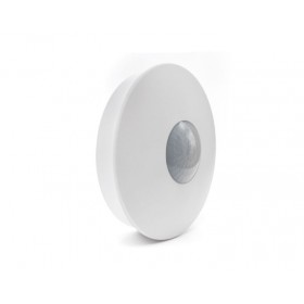 EEA anti-intrusion ceiling dual technology detector