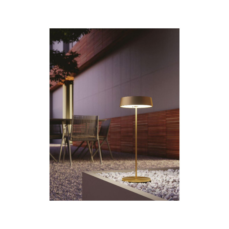 Portable rechargeable light with battery GOLD...