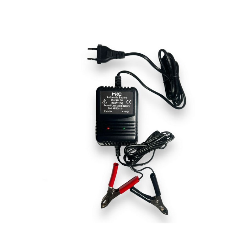 Caricabatteria universale batterie piombo...