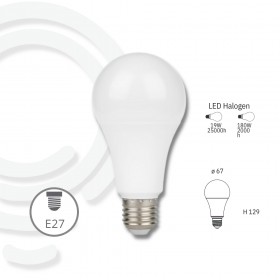 Led bulb e27 19w 2618lm 67x129mm 25000h cri80