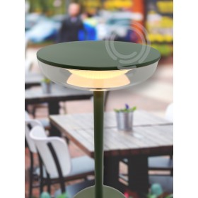 Lampe de table rechargeable avec piles en métal et ABS peint pour usage intérieur/extérieur sage