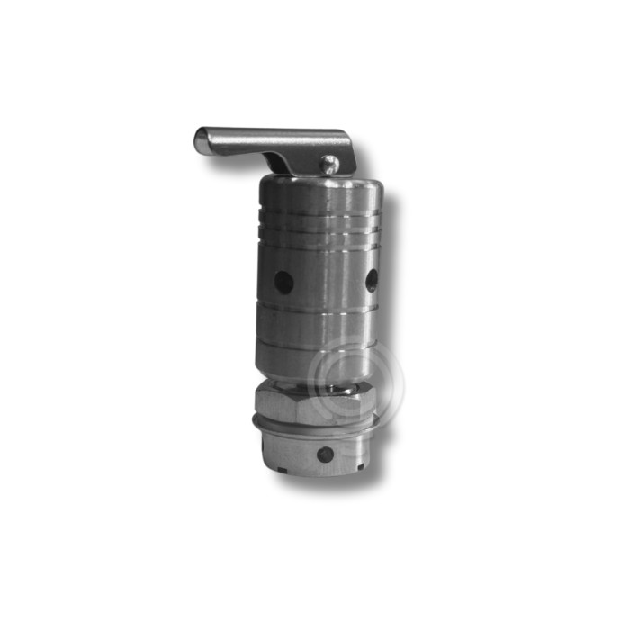 Stainless steel fitting exercise valve suitable for...