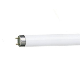 Lampada fluorescente tubo neon t8 30w 4000k g13