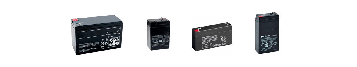 wiederaufladbare Blei-Säure-Batterien