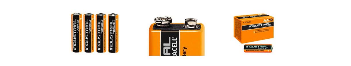 Dreifach- oder Doppel-A-Alkalibatterien