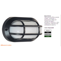 Outdoor ceiling lights