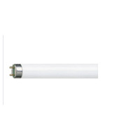 Linear Fluorescent Lamp Neon-Beleuchtung Triphosphor