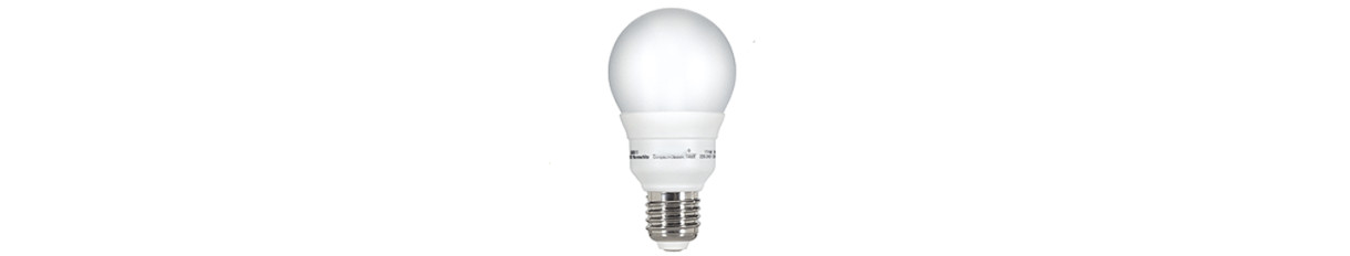 Energy Saving Lamp Globe Illumination